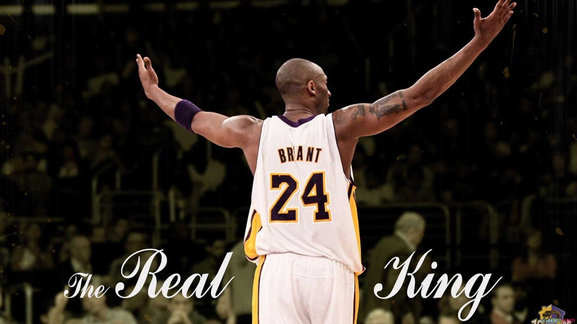 詹姆斯重要时刻爆冷，法国队带队取胜！上演精彩一战